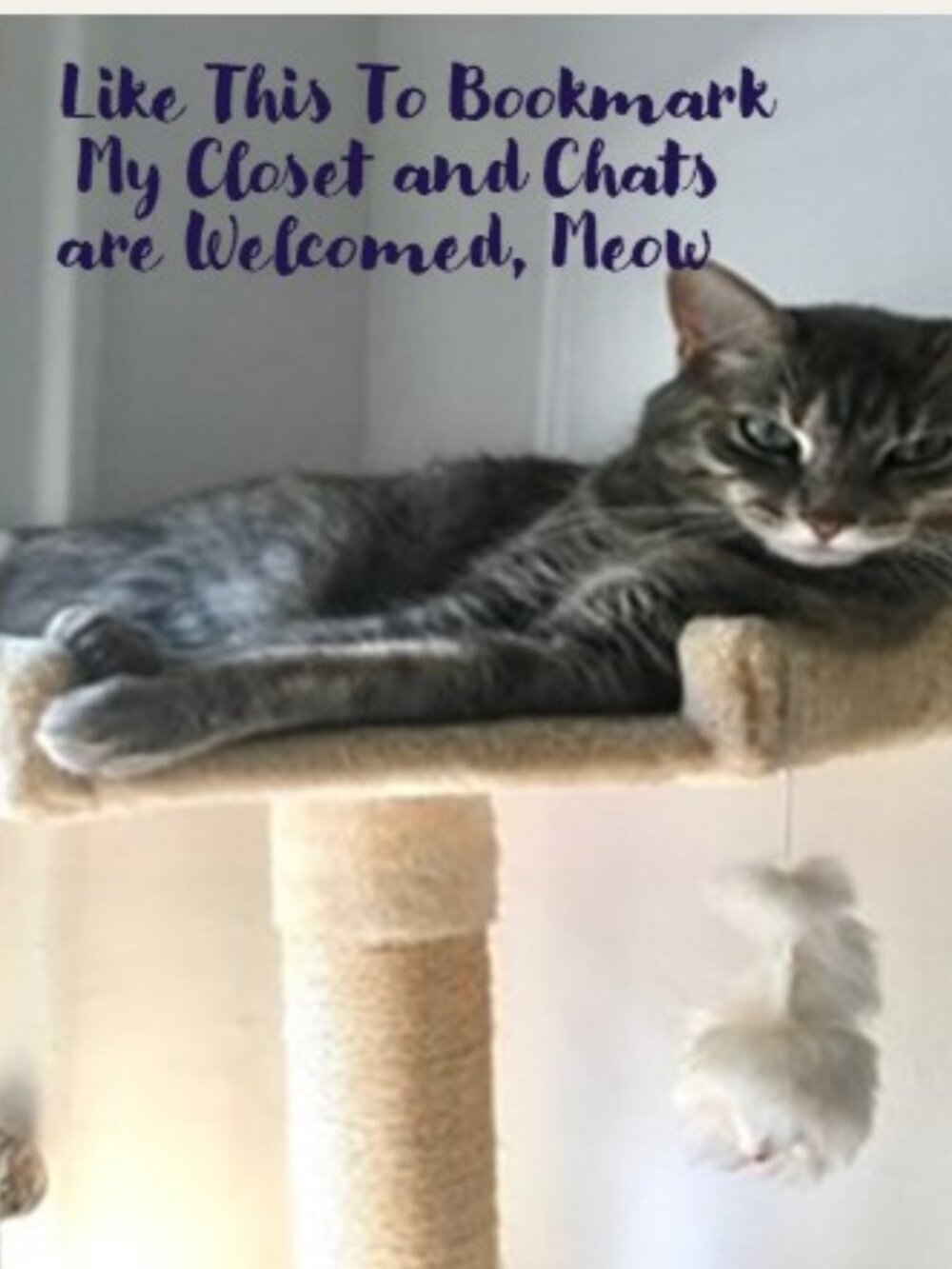 Like This To Bookmark My Closet and Chat